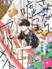 再见 骗子公寓